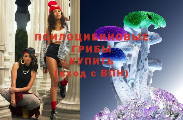 спиды Беломорск